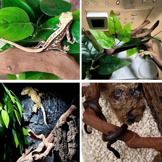 BNOSDM 2PCS Reptile Wood Branches Decor,Lizard Habitat Natural Wood Decoration,Snake Climbing Branch Accessories,Terrarium Tree Trunk Ornament for Bearded Dragon Gecko Frog Chameleon Spider