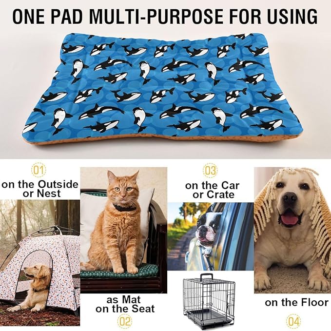Orca Killer Whale Pet Bed Cute Dog Bed Mat Absorbing Non Slip Pad Pet Sleeping Mat for Small, Medium, and Large Dogs Puppy Cat 24 in x 18 in