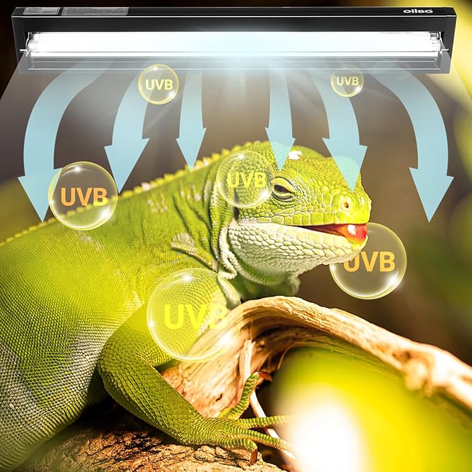 Oiibo T5 HO Reptile Light Fixture UVB Lighting Combo Kit, Reptiles Terrarium Lamp Hood Light Fixture Include UVB 5.0 Rainforest Reptile Light for Chameleon Arboreal Geckos Lizard (8W)