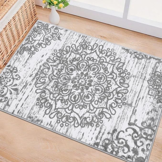 HEBE Indoor Door Mat 2'x3', Washable Distressed Boho Small Area Rug, Non Slip