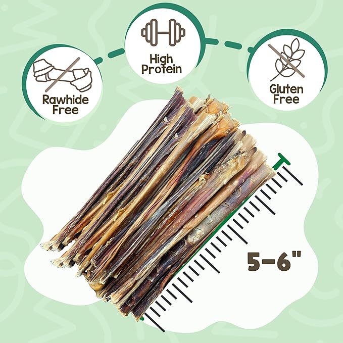 Nature Gnaws Extra Thin Pork Bully Sticks for Small Dogs 5-6" (50 Count) - Long Lasting for Light Chewers and Puppies - Natural Bacon Dog Chew Treats