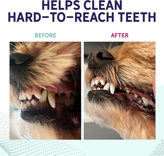 Health Extension Fresh Breath Dental Bones for Dogs, 8 Medium Bones – Supports Dental Health, Freshens Breath, Ideal for Puppy Training (Pack of 1)
