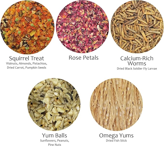 Squirrel Treat Bundle - Natural Healthy Assortment - Fruits, Veggies, Nuts & Chews - Flying, Tree & Ground Squirrels, Chipmunks, Groundhogs & Prairie Dogs