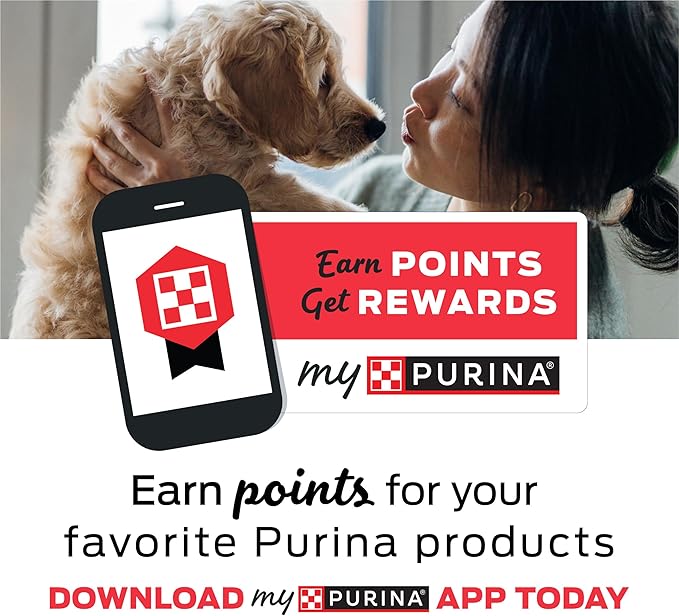Purina T-Bonz Filet Mignon Flavor Steak Shaped Treats for Dogs - 45 oz. Pouch (Pack of 2)
