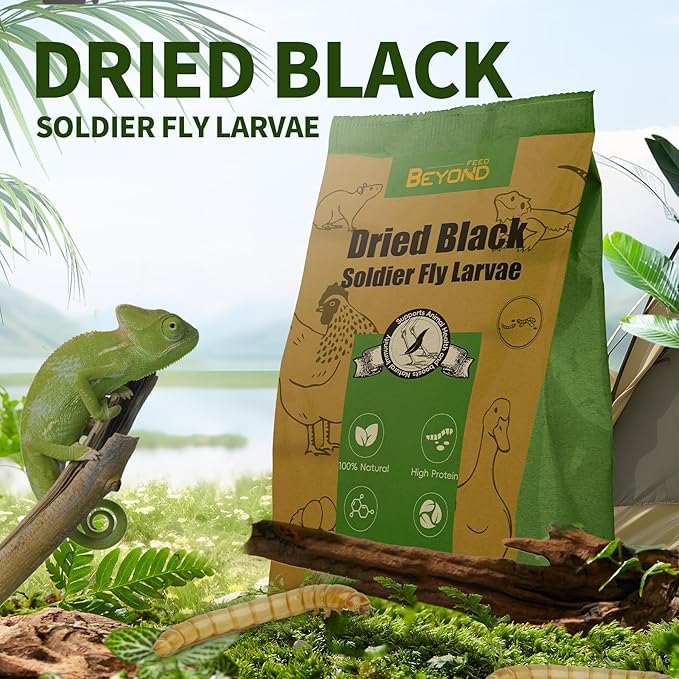 BeyondFeed™ Dried Black Soldier Fly Larvae - Nutrient-Rich, Sustainable Feed for Chickens, Ducks, Birds, Reptiles, Fish, Hamster, Turtles and More (1 Bottle (35g/ 1.23oz))