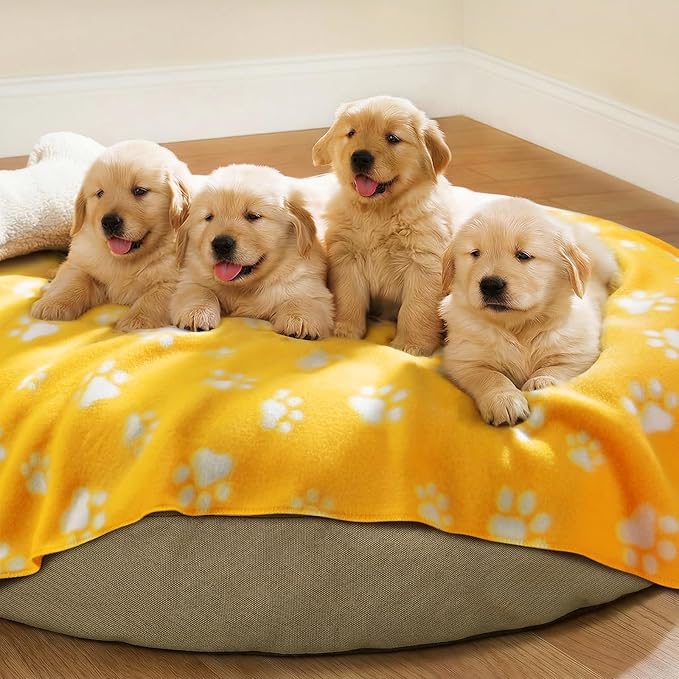 LINENLUX Cute Dog Blanket for Small Medium Dogs 6-Pack Soft Stretchy Fleece Blankets for Pet Cat Puppy Warm Wrinkle-Resistant Throw for Couch Bed Outdoor Yellow 31x24 inch (Pack of 6)