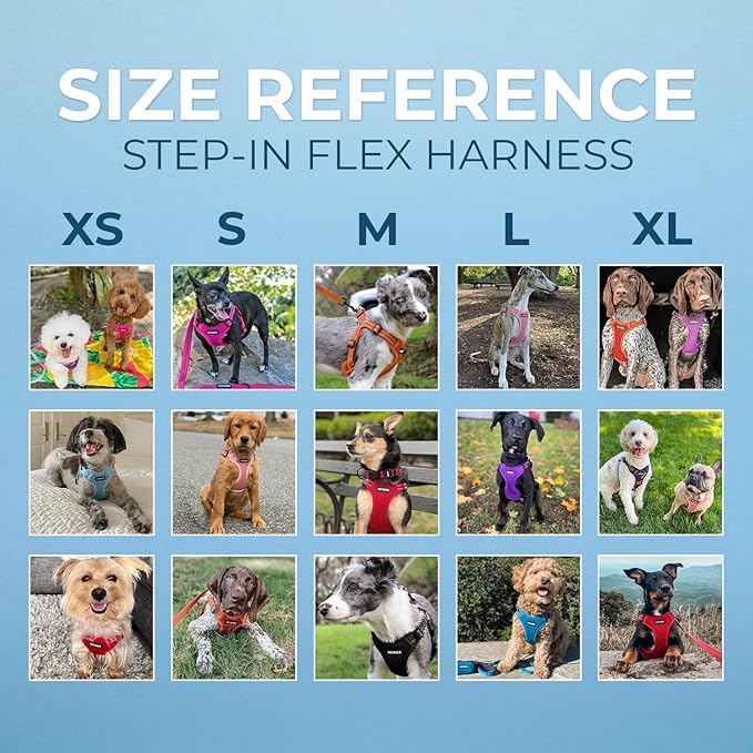 Best Pet Supplies Voyager Adjustable Step-in Flex Breathable Mesh Dog Harness for Small Medium Large Dogs Leash Set (Pink), S