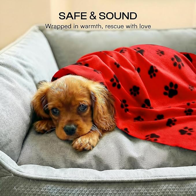 LINENLUX Cute Dog Blanket for Small Medium Dogs 6-Pack Soft Stretchy Fleece Blankets for Pet Cat Puppy Warm Wrinkle-Resistant Throw for Couch Bed Outdoor Red 40x31 inch (Pack of 6)