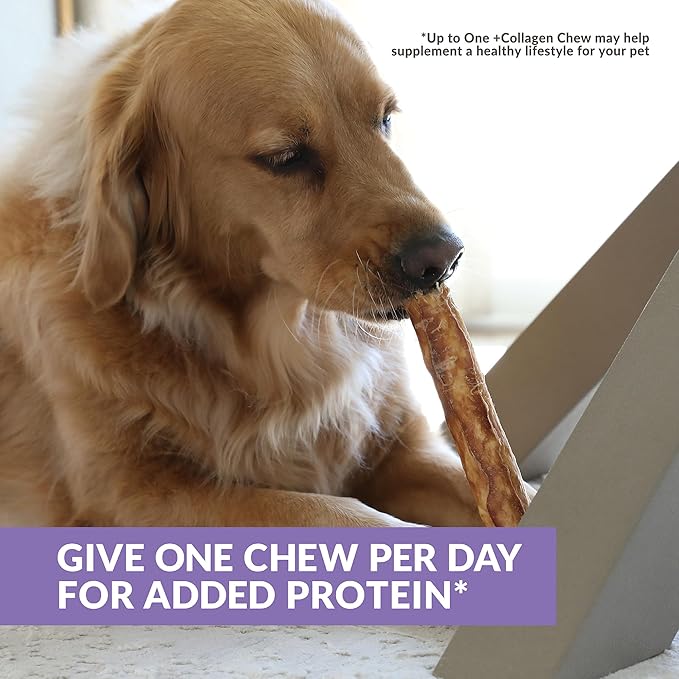 Wild Eats Collagen Chews - Stick Dog Treat for Medium & Large Dogs (10" 3ct, Real Duck) - Long Lasting, Rawhide Free, Low Fat, Grain Free Retriever Rolls