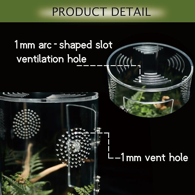 Acrylic Terrarium for Reptiles & Spiders – Small/Medium/Large Leak-Proof Enclosure (Horizontal/Vertical) | Ideal for Tarantulas, Jumping Spiders, Frogs & Geckos(Large Round)