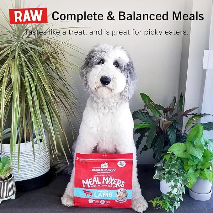 Stella & Chewy's Freeze-Dried Raw Lamb Meal Mixers- Dog Food Topper and Mixer - Made with 95% Grass-Fed Lamb, Organs & Bone - Perfect for Picky Eaters - Grain-Free - 35 oz (Pack of 2)