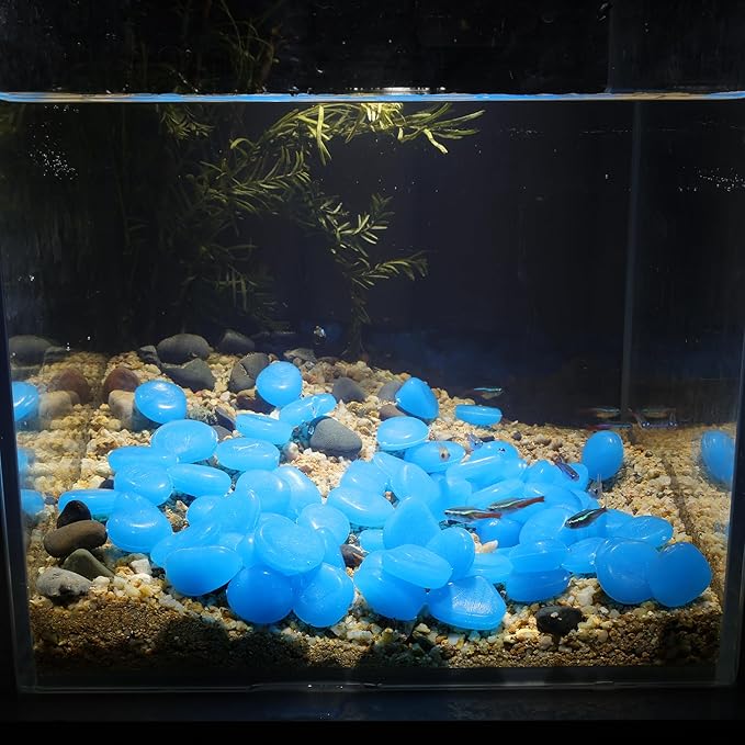 Oubest Glow in The Dark Rocks Glow Pebbles Outdoor Bulk Blue Decorations Stones for Garden Fish Tank Aquarium Walkway Plant Pots (500, Blue)