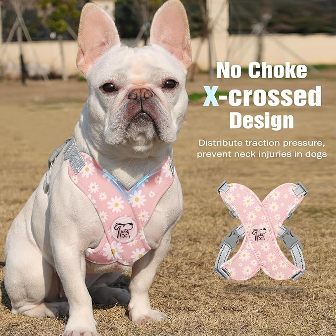 Pawaboo Small Dog Harness and Leash Set, Puppy Harness X-Frame No Pull No Choke, Dog Vest Harness Adjustable for Small Medium Sized Dogs,Soft Breathable Pet Harness for Walking Outing, L, Pink Daisy