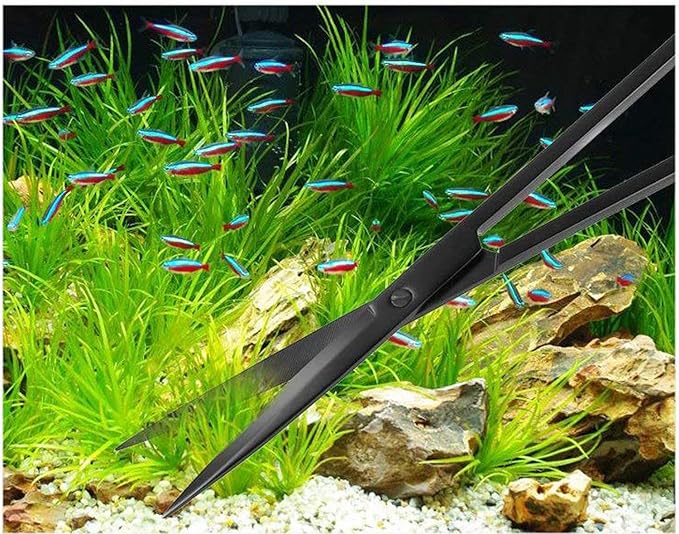 A2Z-Aquascaping Maintenance Tools Accessories,Anti-Rust Stainless Steel Tweezers Scissors Spatula for Aquarium Tank Clean, Fish Tank, Bonsai, Algae Scrapers (12" Scissors - Straight - Black)