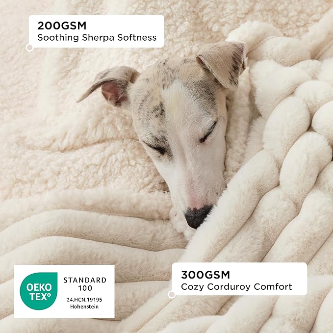 Bedsure Donut Medium Dog Bed 30x30x8 inches with Waterproof Dog Blankets for Medium Dogs 30"x40", Cream