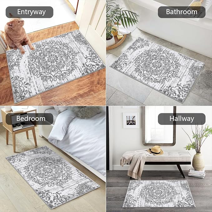 HEBE Indoor Door Mat 2'x3', Washable Distressed Boho Small Area Rug, Non Slip