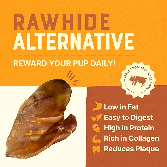 Gaines Pet Pig Ears for Dogs – 100 Pack, All-Natural Whole Ears – No Additives or Hormones, Rawhide Alternative, Supports Dental Health, Easily Digestible Treat for Small to Large Dogs