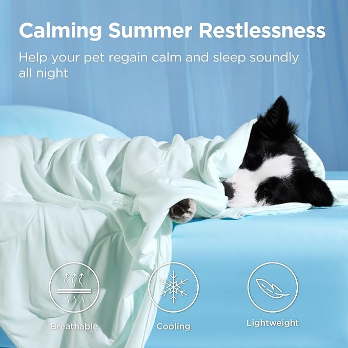 Bedsure Cooling Blanket for Large Dogs with Breathable Air-Core Fill Q-MAX>0.4 - Lightweight Pet Cat Throw Cold Blanket Washable for Summer，Soft Dog Cooling Mat for Couch Bed, Pale Jade, 50x60