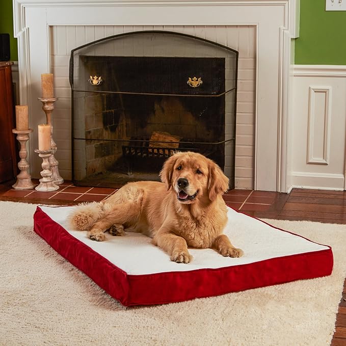 Happy Hounds Oscar Rectangle Orthopedic Foam Sherpa Dog Bed, Large (48 x 36 in.), Red