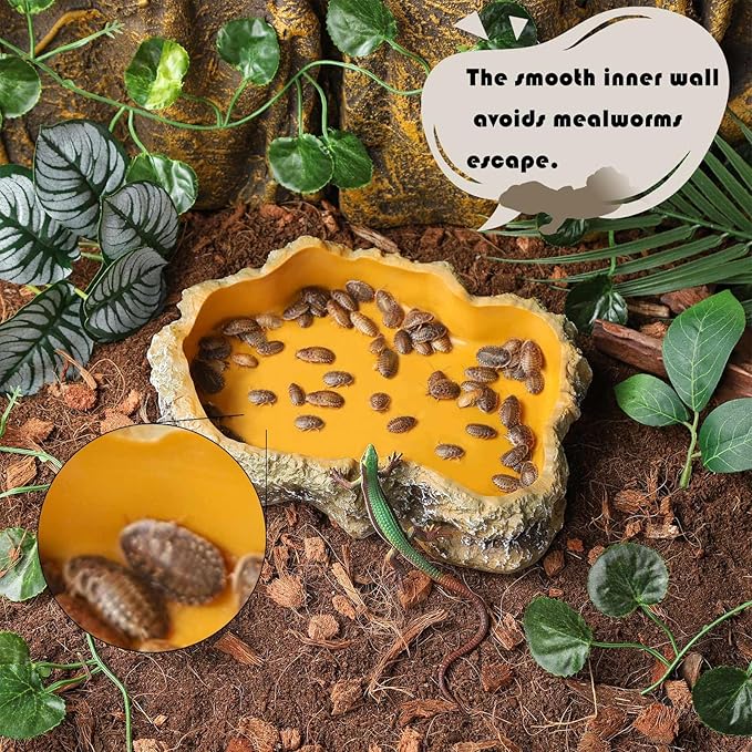 IBWell 4 Inch Reptile Food Dish Escape Proof Reptile Feeding Dish Resin Reptile Water Food Bowl for Bearded Dragon Chameleon Frog Snake Turtle Leopard Gecko