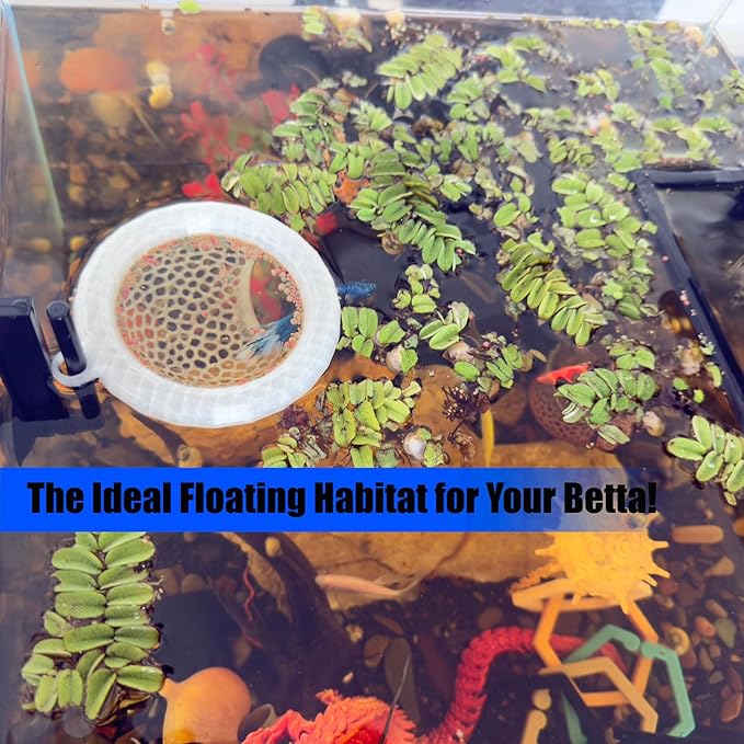 Fish Tank Floating Betta Hide，Betta or Shrimp Burrows and Hammock, Fish and Shrimp Feeder，Multifunctional Aquarium Accessories，Anchorable Location (Translucent)