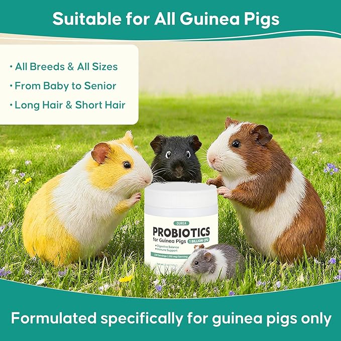 Probiotics for Guinea Pigs, All-Natural Digestive Support Powder, Easy to Mix Daily Gut Health Supplement for Guinea Pig, Helps with Soft Stool, Stress, Diet Change, 1 Billion CFU, 228 Servings