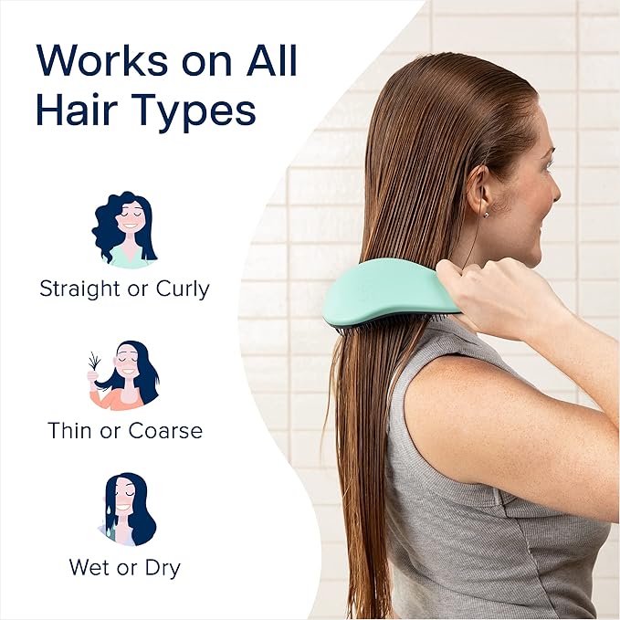 Crave Naturals Glide Thru Detangling Brush for Adults and Kids - Detangler Brush for Curly or Straight, Wet or Dry Hair - Gentle on Tangles Hair Comb - 7.5x3-Inch, Turquoise and Purple (Pack of 2)