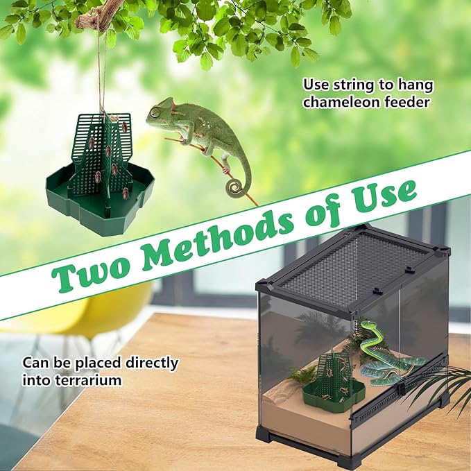 Chameleon Feeding Bowl Hanging Bearded Dragon Feeder Bug Bowls with Rope and Tweezers Mounted Insect Reptile Feeder Box for Lizard Gecko Frog (Green,Small)