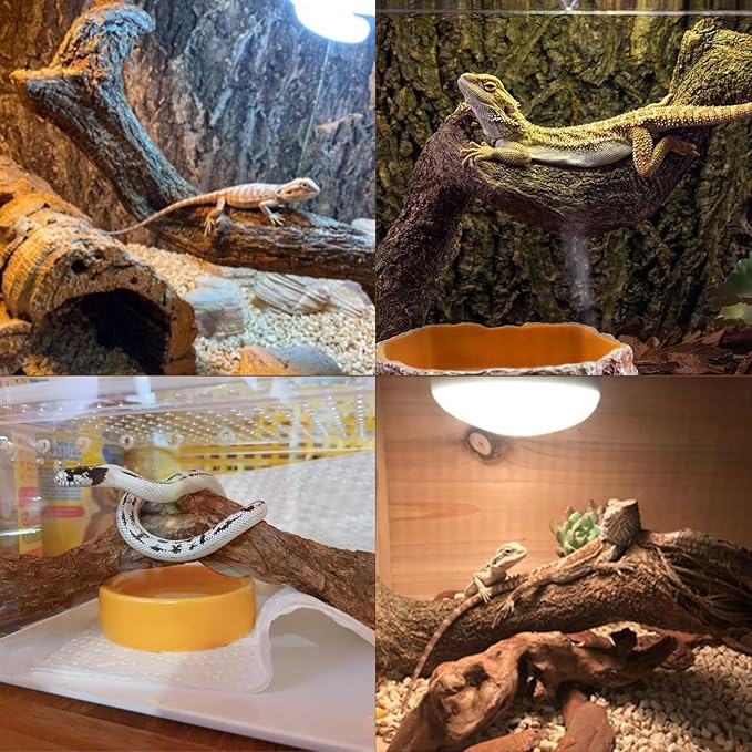 BNOSDM Reptile Forest Climbing Branch Decor Crested Gecko Climb Wood Natural Branches Tree for Snake Frog Chameleon Spider Bearded Dragon Terrarium Habitat Tank Accessories,8PCS