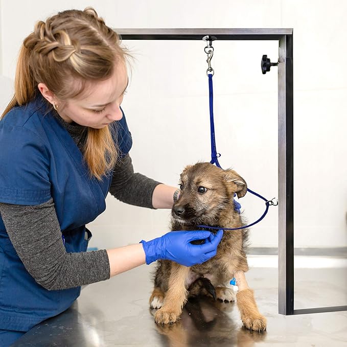 Jelly Pet Grooming Loop for Dogs, Groomers Helper, BioThane Material is Easy to Clean, Waterproof & Durable Noose Loop, Fits Most Pet Grooming Tubs/Tables, Black