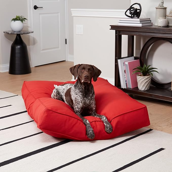 Casey Large (48 x 36 in.) Salsa Rectangle Indoor/Outdoor Pillow Style Dog Bed