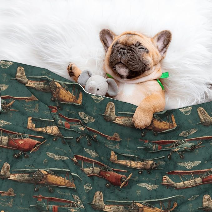 Waterproof Dog Blanket Soft Pet Blanket for Puppy Cat, Fleece Cat Throw Blankets for Furniture Bed Couch Sofa Reversible - Airplanes and Aviation Signs 1