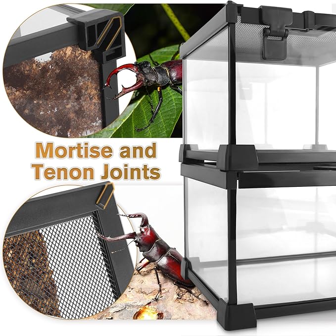 Mini Reptile Glass Terrarium Vivarium 8'' x 8'' x 6'' Full View Tank Small Amphibians Glass Habitat Cage with Feeding Slot & Box Lock Buckle