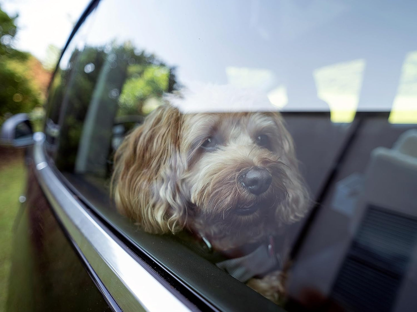 Snoozer Pet Products - Luxury Lookout I Dog Car Seat with Show Dog Microsuede, Small - Palmer Dove