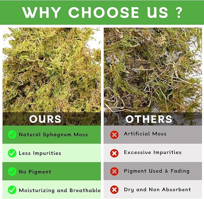 BNOSDM 5.2OZ Natural Sphagnum Moss for Reptiles,7QT Reptile Dried Live Moss Substrate for Terrarium Plants,Frogs Peat Mosses Bedding for Leopard Gecko,Tortoises,Snake,Lizards,Salamanders