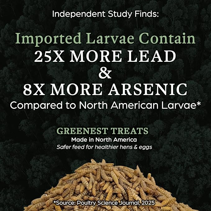 Dried Black Soldier Fly Larvae Chicken Bulk - for Hens, Duck, Wild Birds, Lizard, Tortoise, Fish - All Natural High Protein Dried Mealworms Alternative - Made in North America