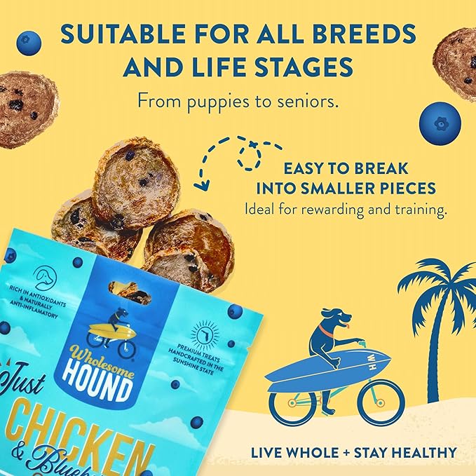 Chicken & Blueberry Chips – 2 Simple Ingredient Dog Treats, All Natural & Healthy Training Snacks for Small, Medium & Large Breeds, Puppies – High Protein, Made in US 3oz