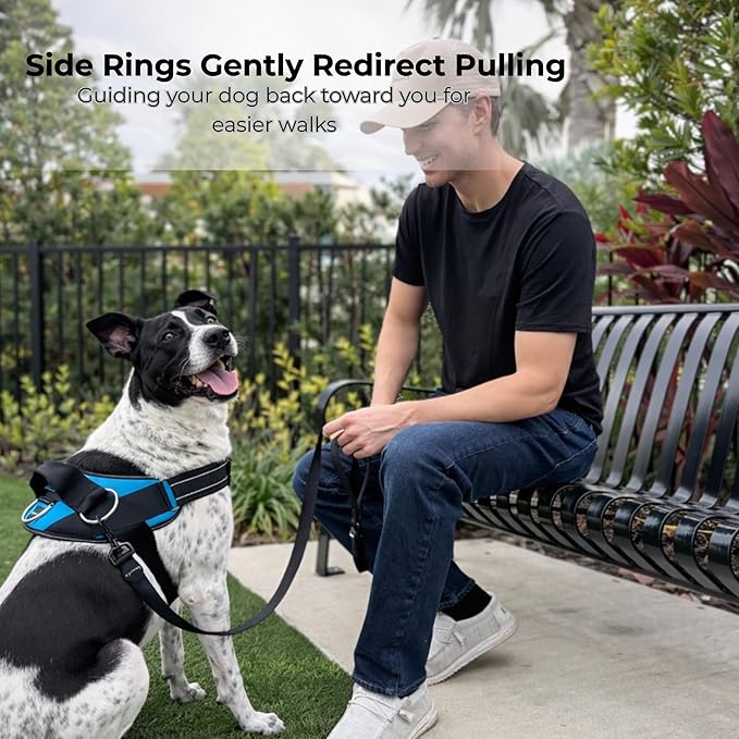 ShawnCo Essential Dog Harness, No-Pull Pet Vest with 3 Leash Clips, No Choke, Reflective, Adjustable and Padded, for Easy Walking and Training for Small, Medium and Large Dogs (Military Camo, XS)