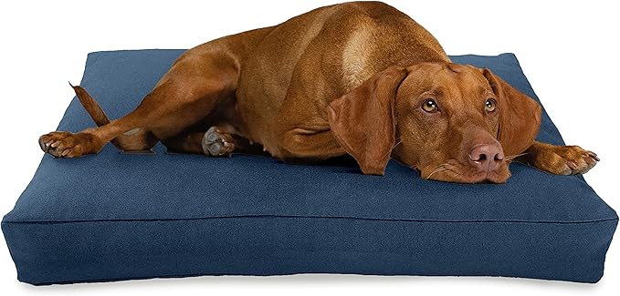 X-Large - 48 x 30 x 5 - Blueberry Premium Organic Hemp Dog Bed - Organic Latex Fill - Removeable Cover