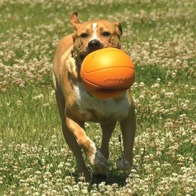 Nylabone Power Play Gripz Felt Basketball Rubber Fetch Toy, Squeaky Ball for Dogs, Large (1 Count)