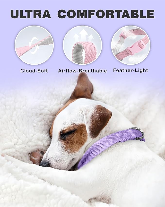 Dynmeow Soft and Breathable Cotton Dog Collar, Durable Adjustable Heavy-Duty Female Girl Pet Collar with Quick-Release Buckle, Lightweight for Sensitive Skin for Large Dogs, Purple, L