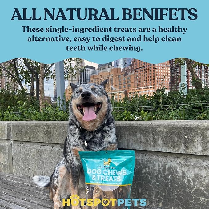 hotspot pets 10 Inch Large Rawhide Dog Bones - Made from Grass Fed Cows - Long Lasting Chews Great for Dental & Oral Care - Bones for Aggressive Chewers & Large Dogs (10 Inch - 1 Count)