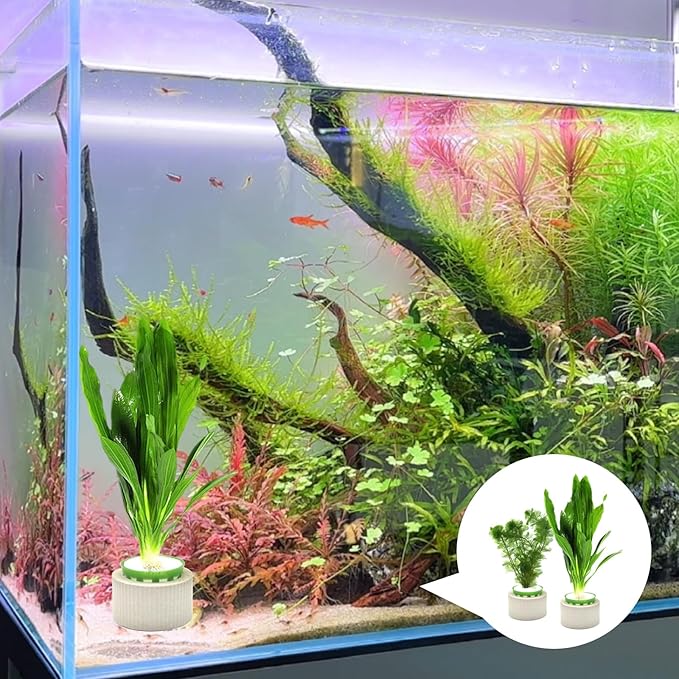 12 Pack Aquarium Plant Weights, Aquatic Plants Fixed Ring Set, Anti-Floating Ceramic Aquarium Plant Rings, Aquarium Landscape Decoration Fish Tank Accessories 1.8 x 1.3 Inch