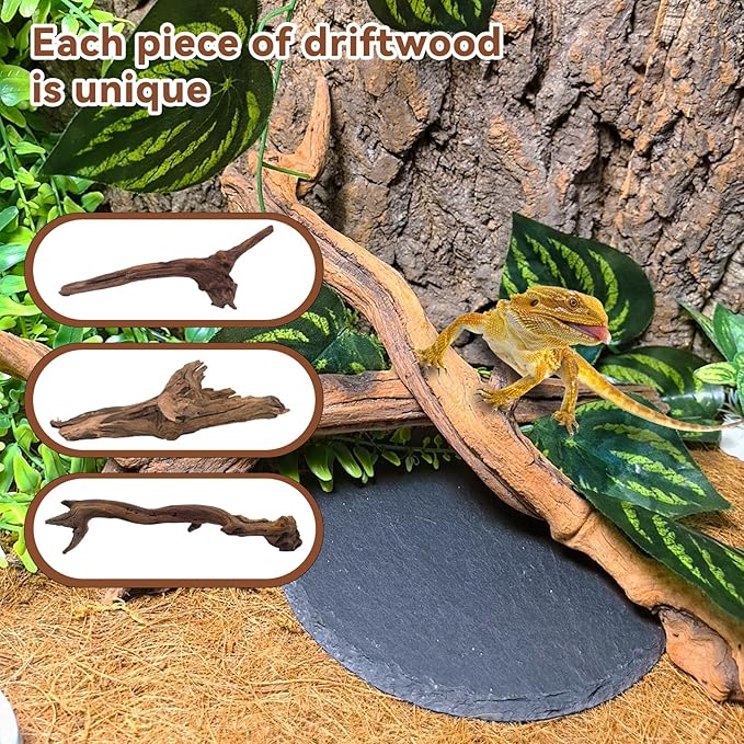 BNOSDM 2PCS Snake Climbing Branches,Reptile Natural Coral Driftwood Branches Decor,Lizard Habitat Decoration Accessories, Terrarium Tree Trunk Ornament for Bearded Dragon Gecko Frog Chameleon Spider
