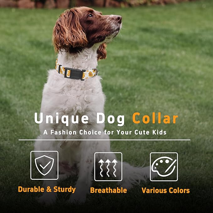 Dog Collar, Floral Boys Girls Puppy Collar for Small Medium Large Dogs, Adjustable Soft Pet Collar with Safety Buckle for Male Females (White Sunflower, M)