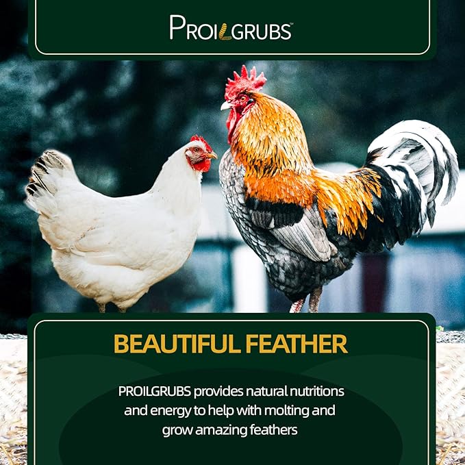 PROILGRUBS 10 LBS - Non-GMO-Dried Worms for Chickens All Natural Dried Black Soldier Fly Larvae Treats, High Protein Worms for Chickens, Hens, Birds...