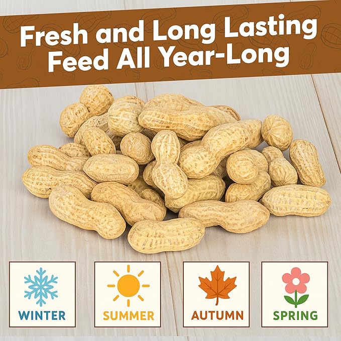 25 LB - Raw Peanuts For Squirrels, Raw In Shell Peanuts For Birds and Wildlife- Squirrel Food, Wild Bird Seed - Grown in The USA