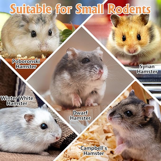 Tfwadmx Wooden Small Animal Hideout & Ramp - Hamster Tunnel System with Climbing Ladder, Peep Shed and Digging Chambers for Mice, Dwarf Hamsters (Small)