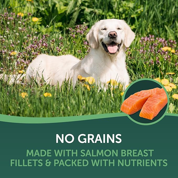 Healthfuls Salmon Fillet Dog Treats, 3.5oz