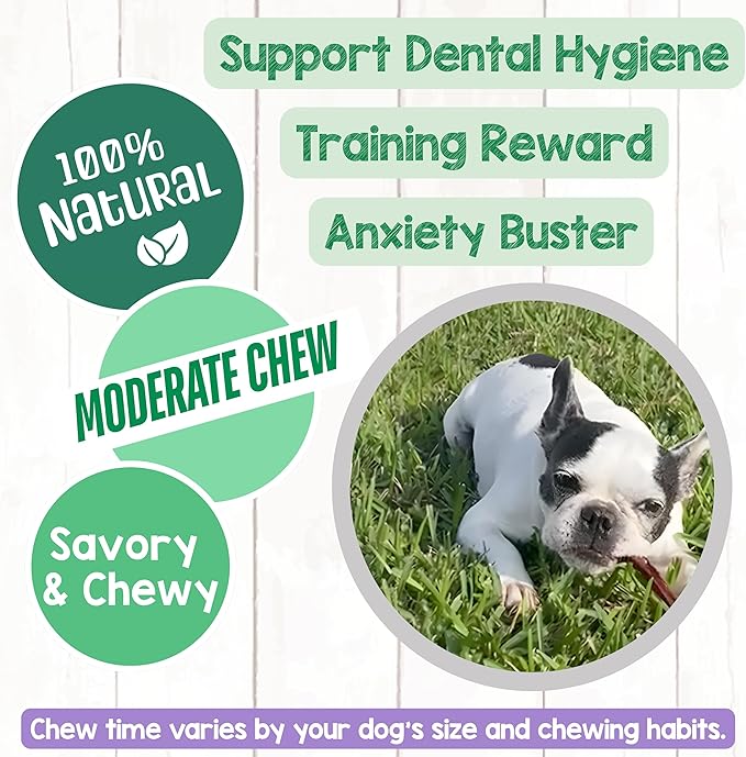 Nature Gnaws Extra Thin Pork Bully Sticks for Small Dogs 5-6" (50 Count) - Long Lasting for Light Chewers and Puppies - Natural Bacon Dog Chew Treats